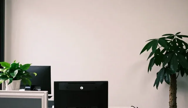 服务器优化中网络选型的关键建议